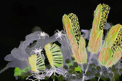 Gloeiende nachtelijke tuin door Lori Ann Folz