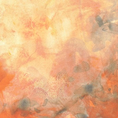  door Lori Ann Folz