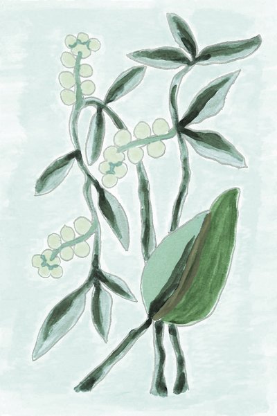 Groene botanische aquarel door Lori Ann Folz