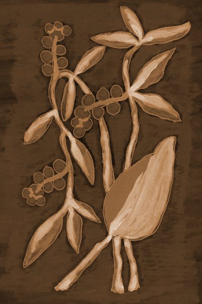 Biologische Sepia Botanicals door Lori Ann Folz