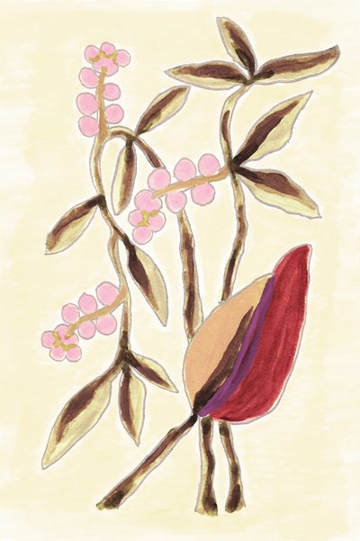 Pink Berry Botanicals door Lori Ann Folz