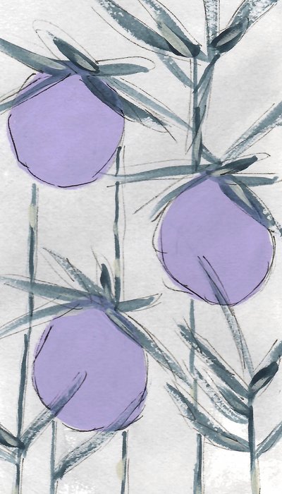 Paarse botanische vruchten door Lori Ann Folz