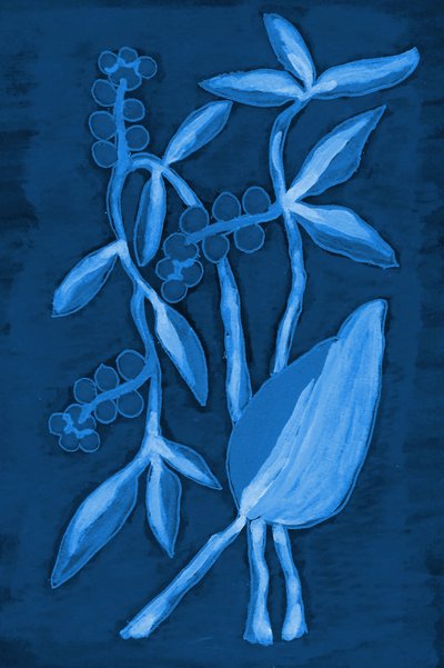 Zaaddoos 1 Deep Blue door Lori Ann Folz