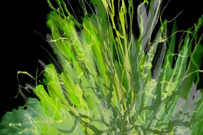 Levendig groen, abstract door Lori Ann Folz