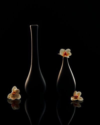 Elegante orchideeënreflecties door Louie Luo