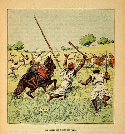 De oorlog in Madagaskar-Anekdotische geschiedenis van de Franse expedities van 1885-1895 door Henri Galli dit Galllichet (1854-1922), geïllustreerd door Louis Bombled (1862-1927): De jacht op wilde ossen in Madagaskar in 1895, Privécollectie door Louis Charles Bombled