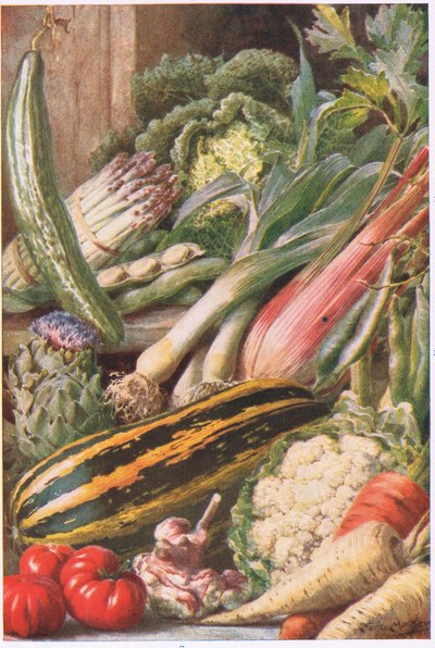 Tuin groenten, illustratie uit 