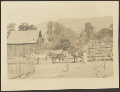 [Barnyard Scene]. door Louis Fleckenstein