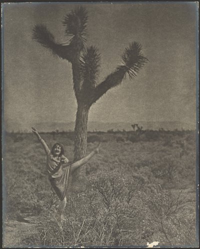[Danseres bij Joshua Tree] door Louis Fleckenstein