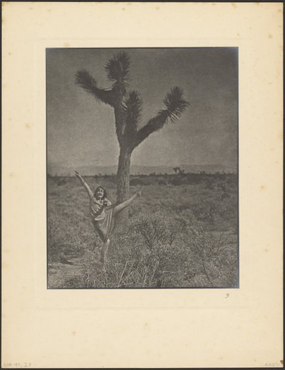 [Danseres bij Joshua Tree] door Louis Fleckenstein