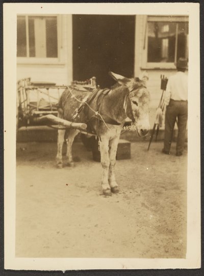 [Ezel en kar]. door Louis Fleckenstein