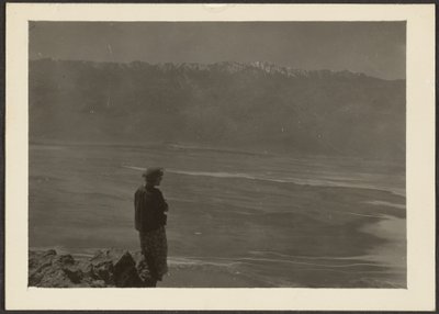 [Figure Overlooking Coast]. door Louis Fleckenstein