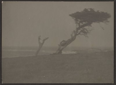 [Landschap] door Louis Fleckenstein