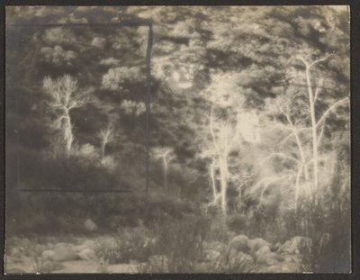 [Landschap met lichte bomen] door Louis Fleckenstein