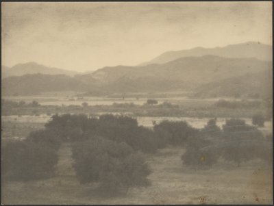[Landschap met lage bomen] door Louis Fleckenstein