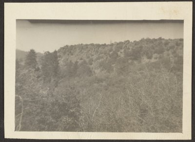 [Landschap met struiken]. door Louis Fleckenstein