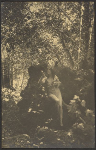  door Louis Fleckenstein