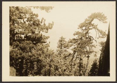 [Santa Rosa Peak]. door Louis Fleckenstein