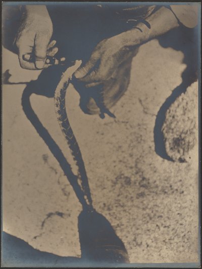  door Louis Fleckenstein