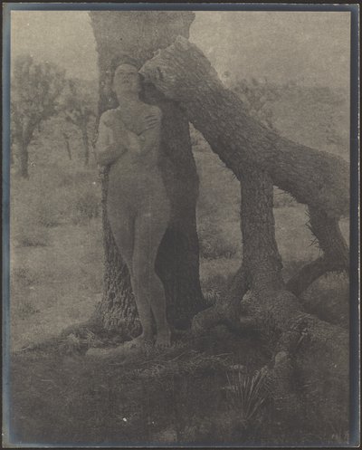  door Louis Fleckenstein