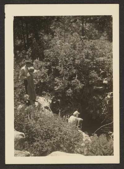 [Lente in Fern Valley] door Louis Fleckenstein
