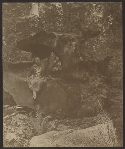  door Louis Fleckenstein