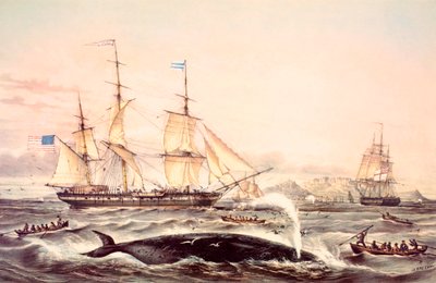 Walvisvangst bij Kaap de Goede Hoop door Louis Le Breton