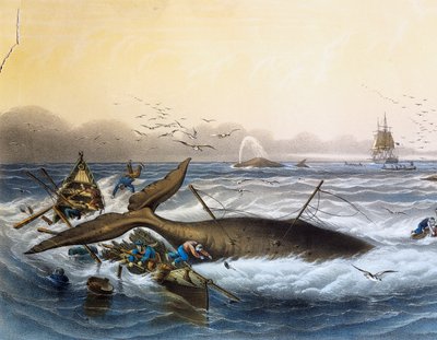 Walvisvangst in Zuidzeeën, kleurenlithografie door Louis Lebreton (overleden 1866) door Louis Le Breton
