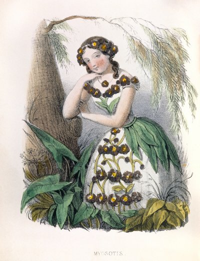 Allegorie , la Myosotis door Louis Simon (1810-1870) Lassalle