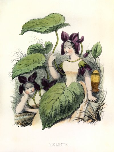 Allegorieën, la Violette door Louis Simon (1810-1870) Lassalle