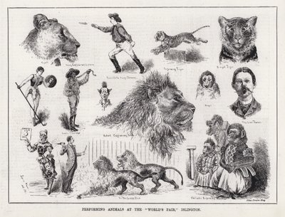 Optredende Dieren op de "World