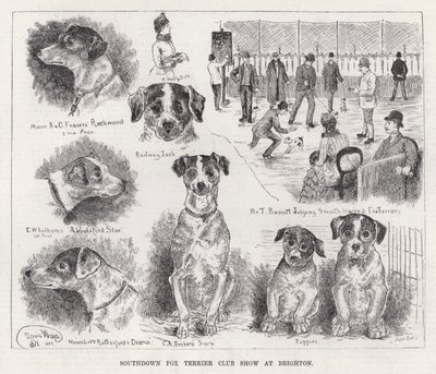 Southdown Fox Terrier Club Show in Brighton door Louis Wain