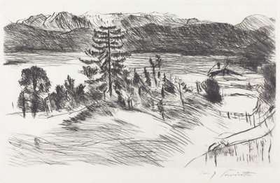 Grosse Walchenseelandschaft door Lovis Corinth