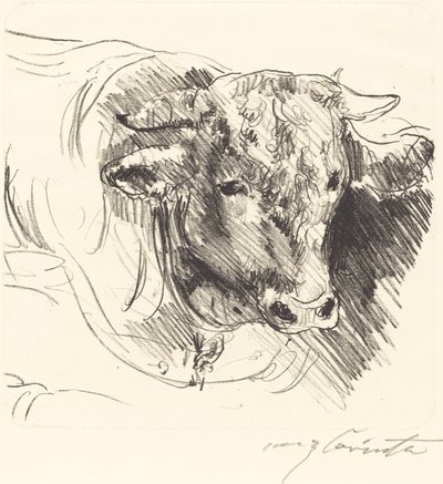 Stierkopf, 1912 door Lovis Corinth