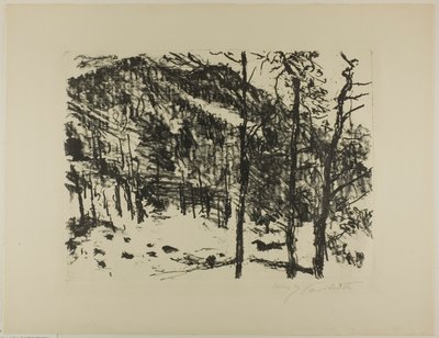 De Vallei, uit Vroege Lente in de Bergen door Lovis Corinth