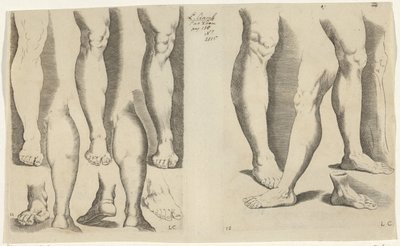 Studies van benen door Luca Ciamberlano