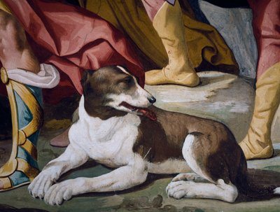 Hond, detail van fresco uit cyclus van Verhalen van Antenor door Luca Ferrari