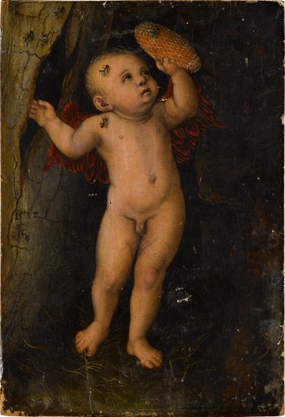 Amor als Honigdieb (Fragment) door Lucas Cranach