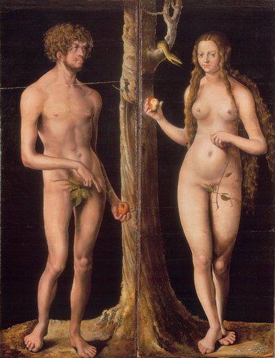 Duits: Adam und Eva Adam en Eva door Lucas Cranach the Elder