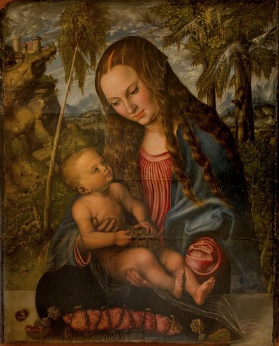 Madonna onder de spar door Lucas Cranach the Elder