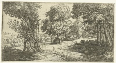 Boslandschap door Lucas van Uden