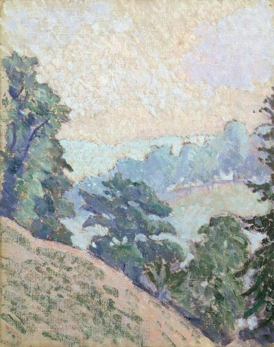 Brookleton Dale, Youlgrave, Derbyshire door Lucien Pissarro