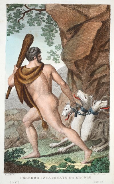 Hercules en Cerberus of Cerbero Incatenato da Ercole, Boek VII, illustratie uit Ovidius