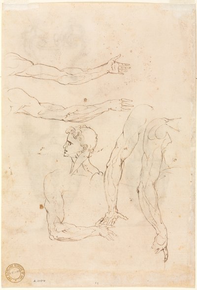 Schetsen van vijf armen en een hoofd (verso) door Luzio Romano