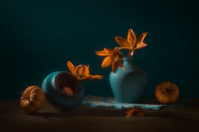  door Lydia Jacobs