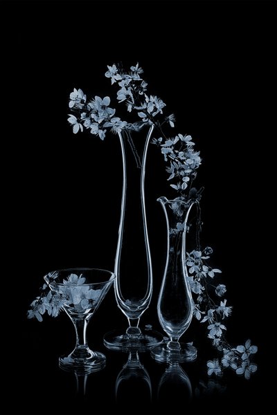 Blauwe bloemen in glazen vazen door Lydia Jacobs