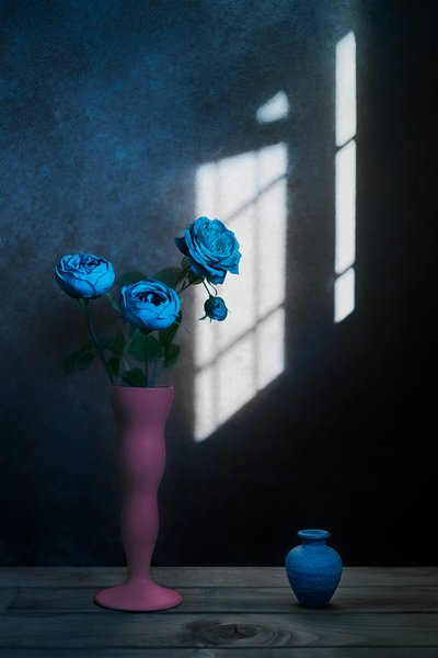  door Lydia Jacobs