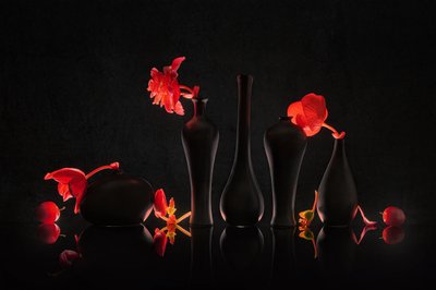 Karmozijnrode bloemen in zwarte vazen door Lydia Jacobs