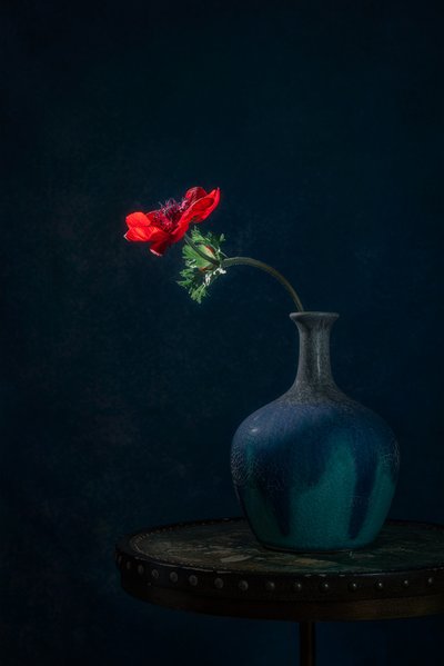 Dark Anemone-vaas door Lydia Jacobs