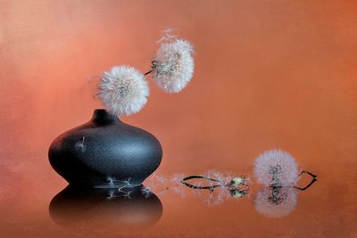 Fijnzinnig stilleven met paardenbloemen door Lydia Jacobs